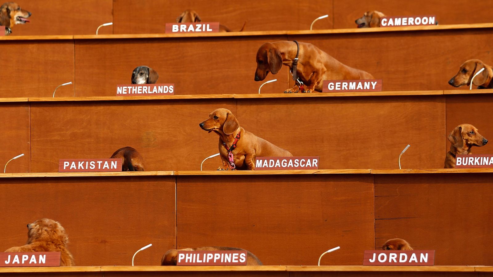 fiercefestival's tweet card. Distinctly Birmingham A call for artists to develop ideas for public realm works for Birmingham Overview COVID-19 UPDATE: We are going ahead with the selection of the artists as per […]