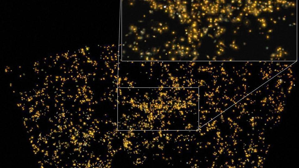 TeamIndus's tweet card. The scientists from Pune stated that previously only a few comparatively large superclusters have been reported, for example the Shapley Concentration or the Sloan Great Wall in the nearby universe,...