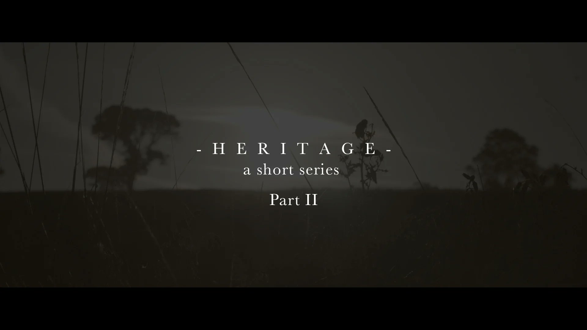 ParallelMM's tweet card. HERITAGE - Part II