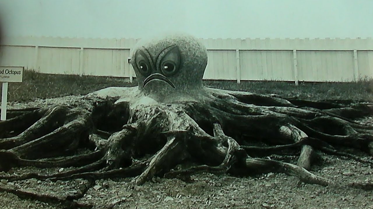 Creamofcards's tweet card. Pareidolia Encryption and Asemic Writing