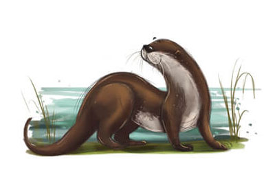 TutsPlusDesign's tweet card. Looking on the internet, it's fairly simple to find articles and information on creating a book—from how to do layout to character design, writing your own story, and so on. In my travels I found...