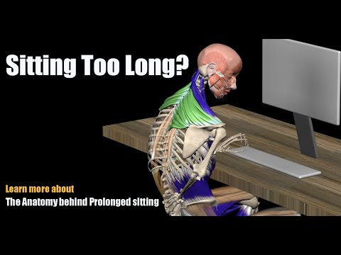 SmartFitness_Co's tweet card. Pain from Sitting Too Long? The Anatomy behind Prolonged sitting