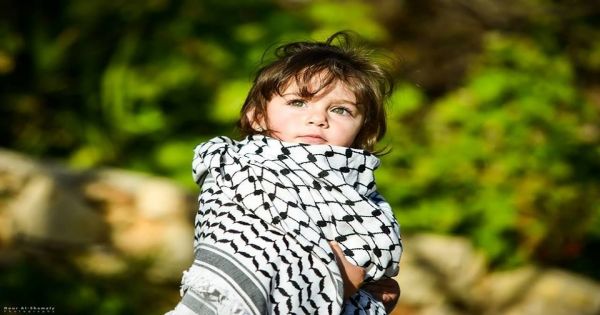 website_texter's tweet card. Menschen auf der ganzen Welt unterzeichnen diese Kampagne, um die Annexion von Palästina zu verhindern...