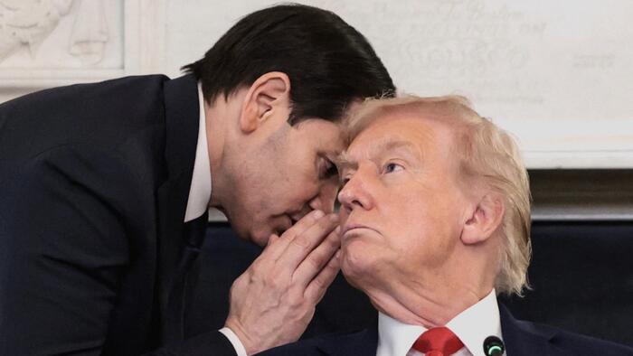 zerohedge's tweet card. "No matter who you vote for, you get John McCain" 