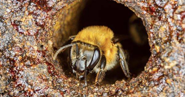 FranckRouanet's tweet card. Notre soutien peut les aider à obtenir des droits.