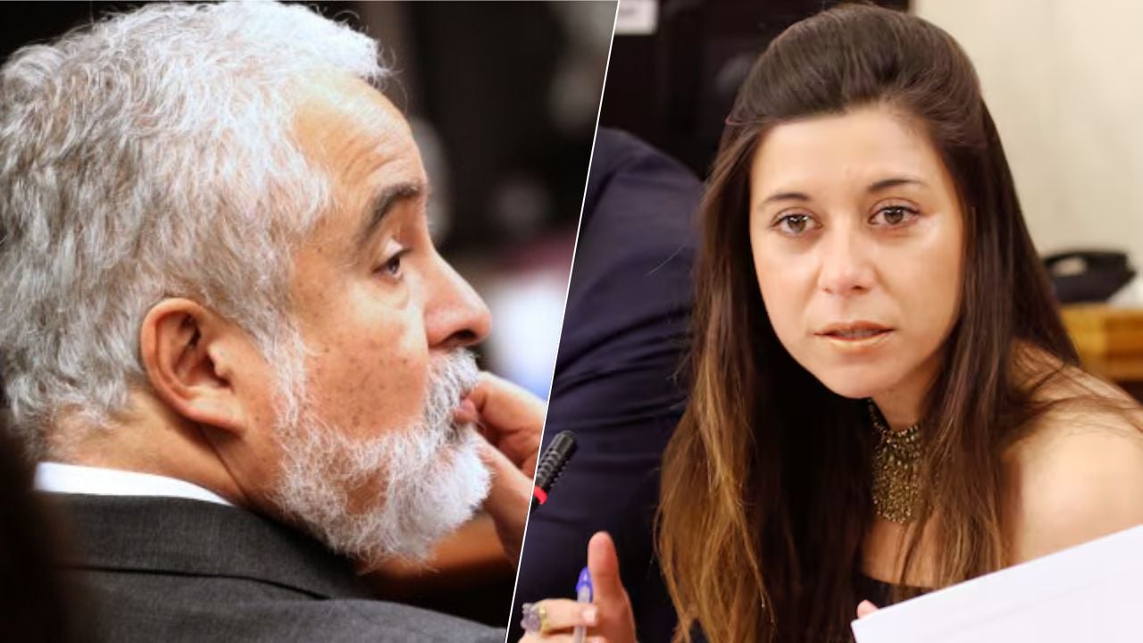 El_Ciudadano's tweet card. La diputada Daniella Cicardini (PS) reveló preocupantes advertencias y amenazas que ha recibido para alejarse del caso que rodea al influyente abogado