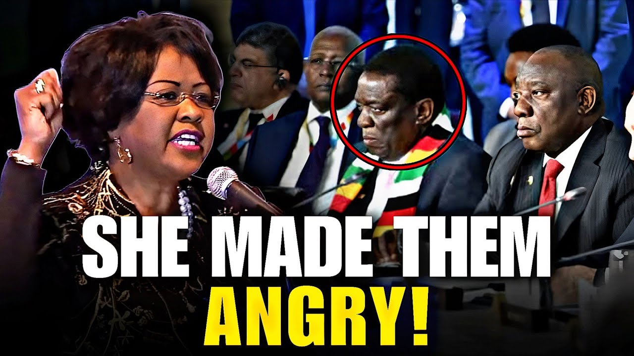 Webster_IM's tweet card. This Woman HUMILIATED African Leaders! Dr. Arikana’s Bold Call to End...