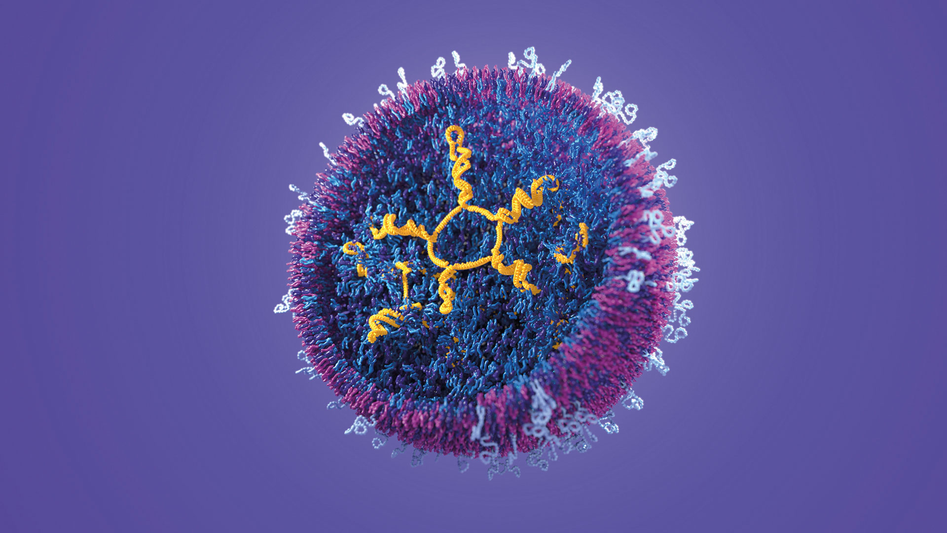 SiSafLtd's tweet card. The COVID-19 pandemic has turned RNA into a household word, but what new innovations and changes will we see in the RNA therapeutics space going forward and how many will actually reach the clinic?...