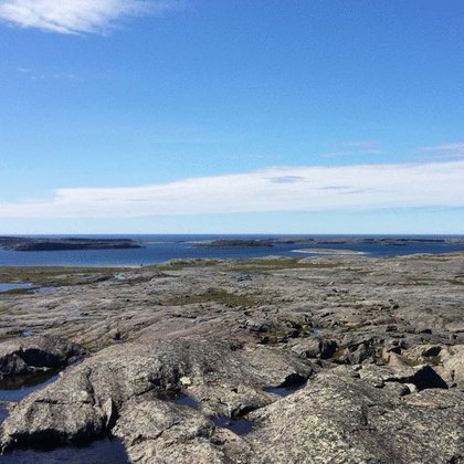 Tweet card summary image