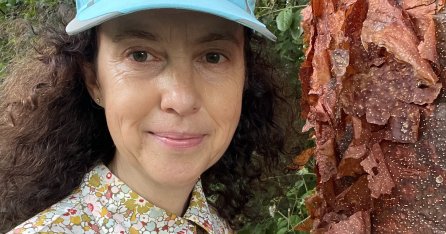 Tweet card summary image