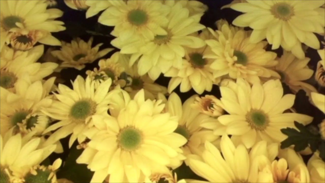 lessonstudyuma's tweet card. Hoy nos cuenta un cuento: Laura García