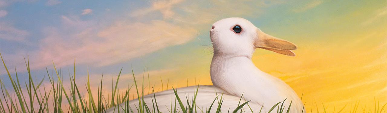 vishalgarg009's tweet card. In a world full of ambiguity, we see what we want to see.