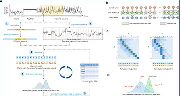 RNASeqBlog's tweet card. Researchers introduce a new tool for more accurate RNA modification detection from nanopore signals