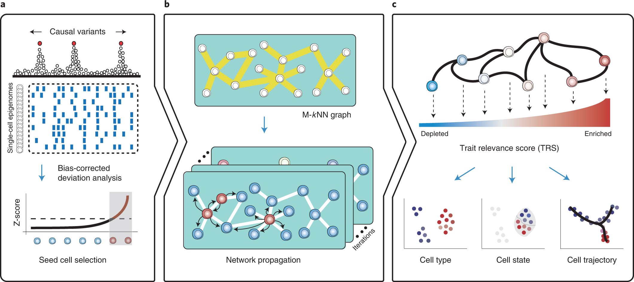 jsantoyo's tweet card. Nature Biotechnology - SCAVENGE identifies causal variants from single-cell epigenomic data.
