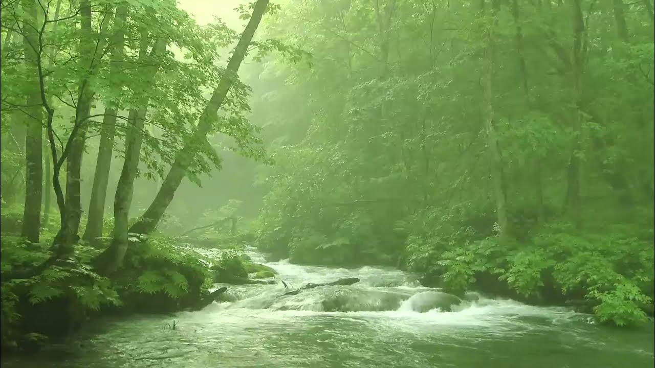 MsParaDoxy's tweet card. Japan Mountain Stream 1 Hour Series ① - Relaxing Background Music,...