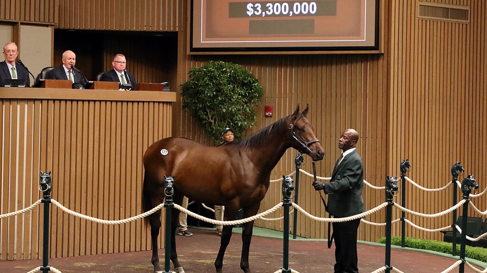 CNBC's tweet card. Racehorse owners can take the same deduction as private-jet buyers and can now deduct losses against any type of income including capital gains.