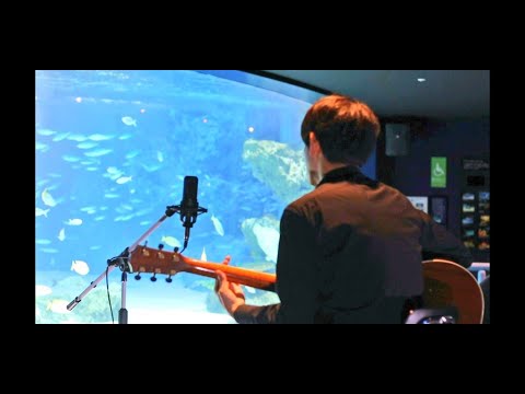 ryosuke_pierre's tweet card. 東方神起/時ヲ止メテ　"기억을 따라서"(Everlasting)/동방신기【松本リョウスケ】　#東方神起　#TVXQ　#동방신기