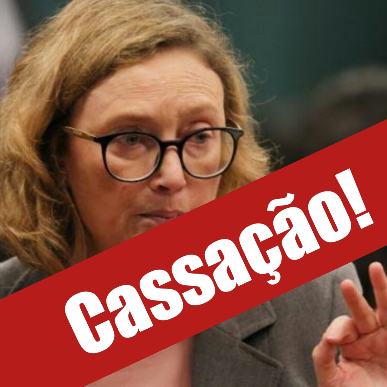 PRIMEIMPORTADOS's tweet card. Vemos inúmeros vídeos com a deputada em questão ferindo o código de ética da Câmara Federal, bem como o artigo 55 da Constituição. Como cidadãos exigimos providências do Conselho de Ética da Câmara,...
