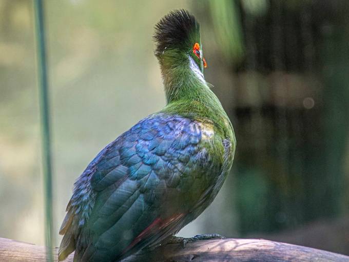 biancarf_2009's tweet card. Find more inspiring images at VIEWBUG - the world’s most rewarding photo community.