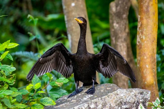 biancarf_2009's tweet card. Find more inspiring images at VIEWBUG - the world’s most rewarding photo community.