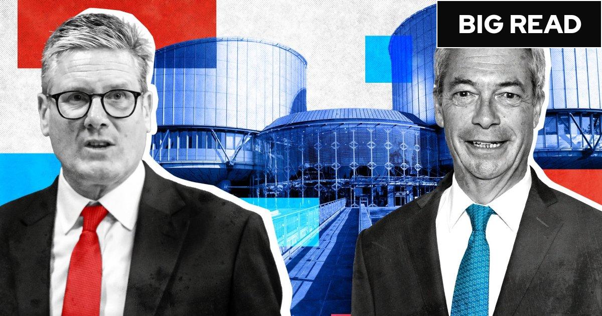 PeterStefanovi2's tweet card. PM evangelical about the European Convention on Human Rights. But Reform leader claims two thirds of Brits would back leaving