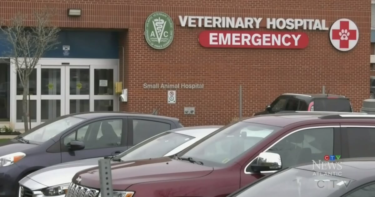 dottiemaggie's tweet card. The largest animal hospital on Prince Edward Island will no longer be offering overnight emergency coverage for other small clinics on the island.