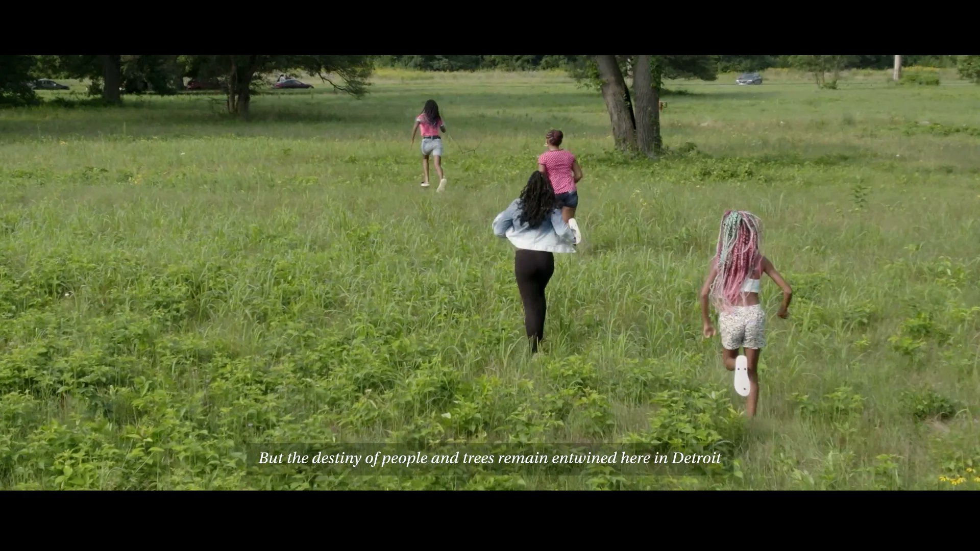 Kiana_DesignPro's tweet card. d.Tree Meditational Film - Treeposium 2021