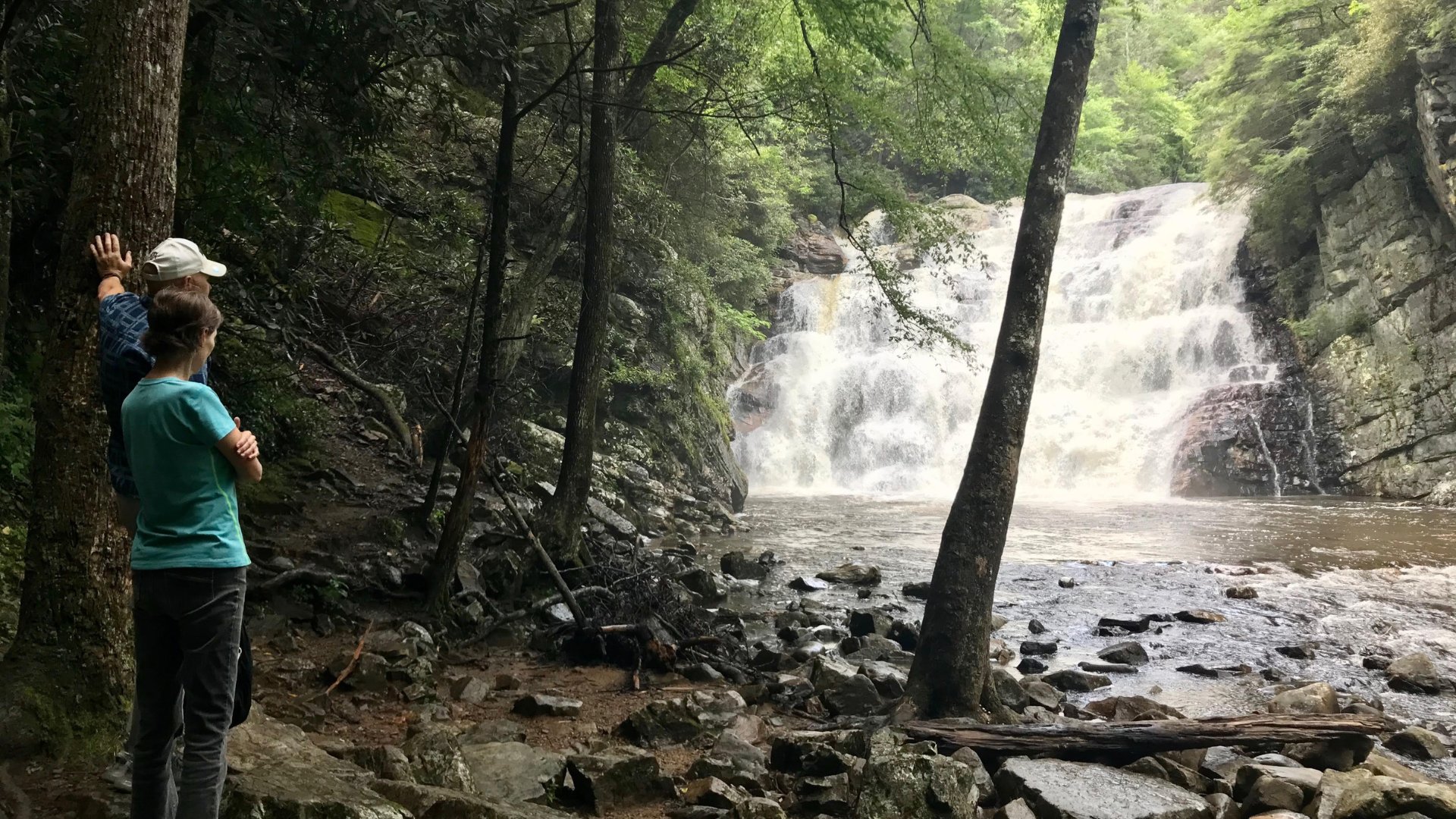 UTHeartVascular's tweet card. At the Bedside: After years of mysterious cardiac episodes, a patient is offered a new lease on...