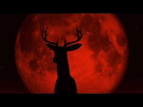 saltysou1's tweet card. Solfeggio Alternative Binaural Beats - 396hz Root Awakening