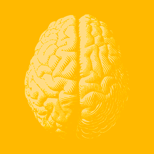 BrainDays's tweet card. Here you can find the event report. A Milestone Moment for Brain Research in Europe After two years of shaping the foundations of the future European Partnership for Brain Health (EP BrainHealth),...