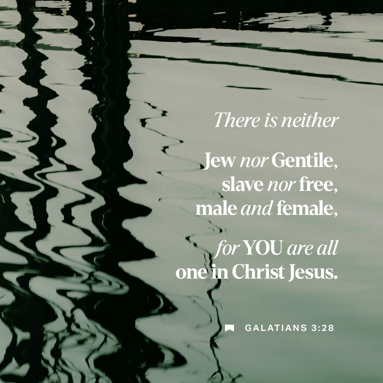jamesstevenpugh's tweet card. There is neither Jew nor Greek, there is neither slave nor free man, there is neither male nor female; for you are all one in Christ Jesus.