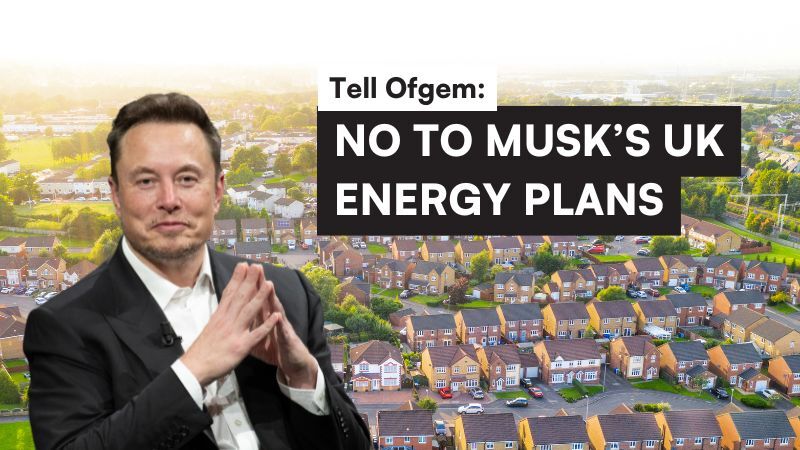 grumpyoldbugger's tweet card. I've signed a petition telling Ofgem to reject Musk's application to supply electricity to British households. Will you join me and add your name?