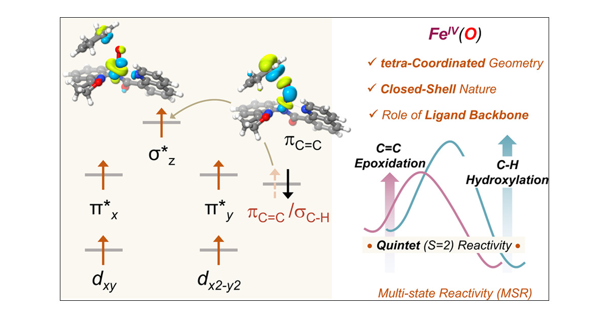 CompCatLab's tweet card. The electronic structure and reactivity of tetra-coordinated nonheme iron(IV)–oxo complexes have remained unexplored for years. The recent synthesis of a closed-shell iron(IV)–oxo complex [(quiniso...