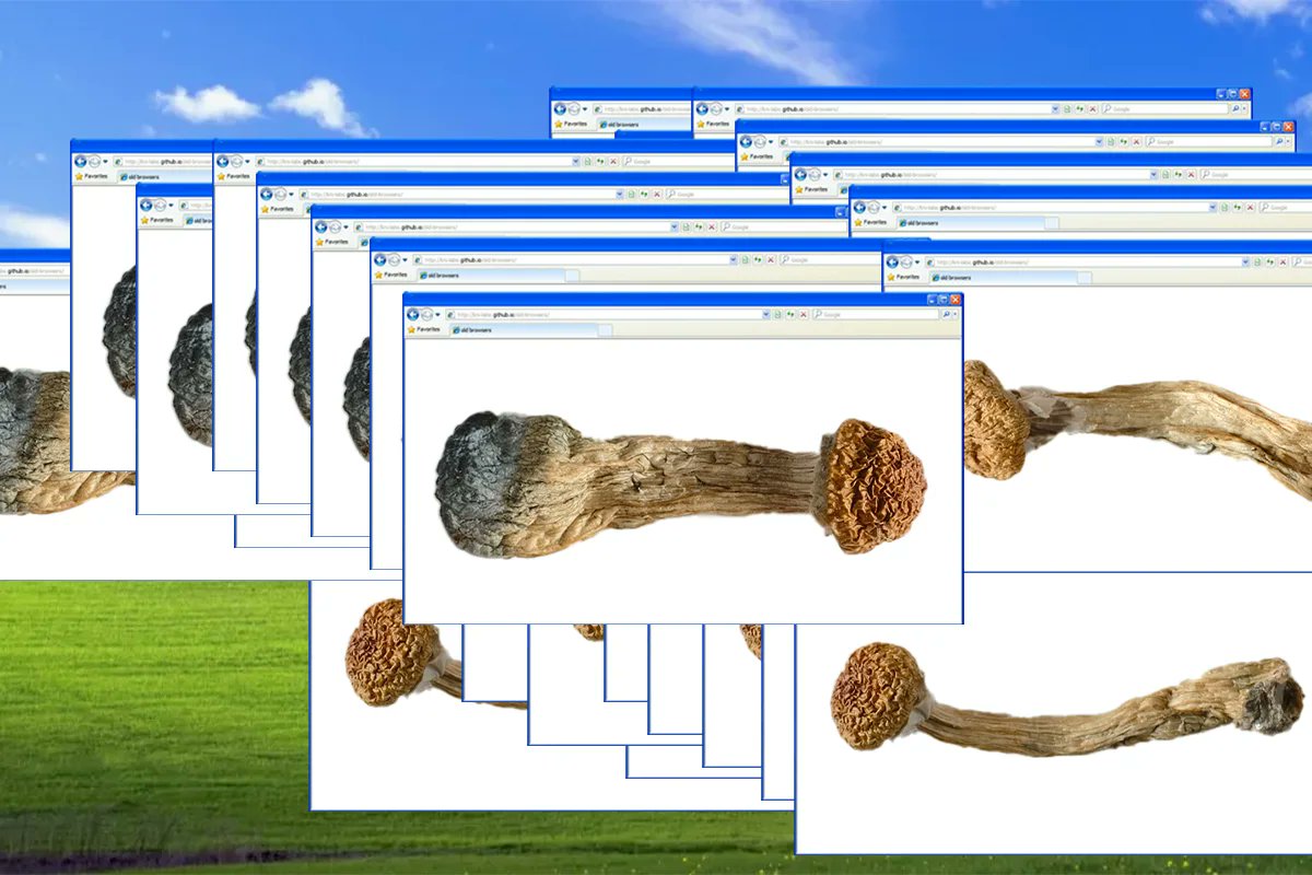 doubleblindmag's tweet card. Banking on psilocybin’s eventual legalization, the sites are flying under the radar of a legal system lacking the resources (and maybe the willpower) to shut them down.