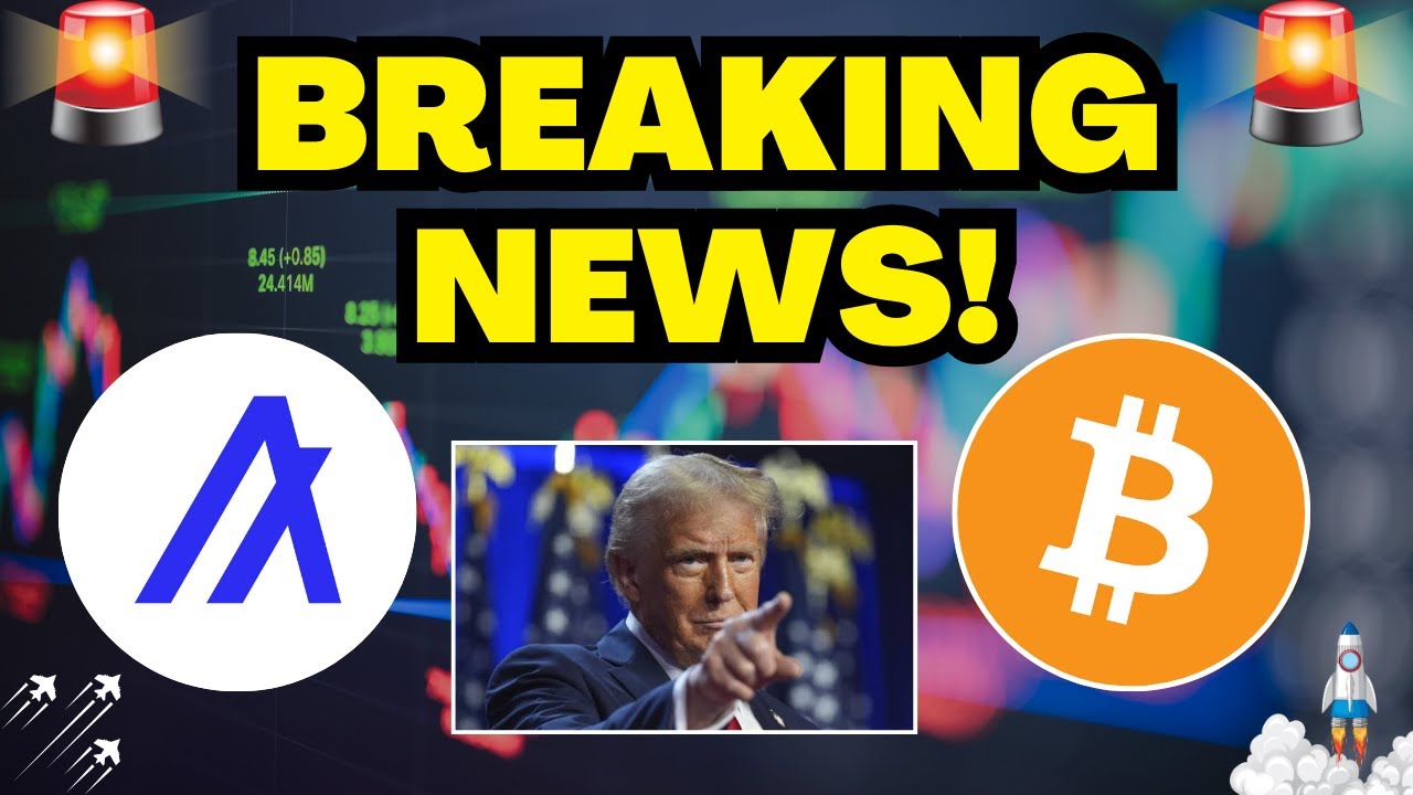 LinzeyPi's tweet card. BREAKING: Algorand The MOST Decentralized, TRUMP Tariffs, Egg Prices...