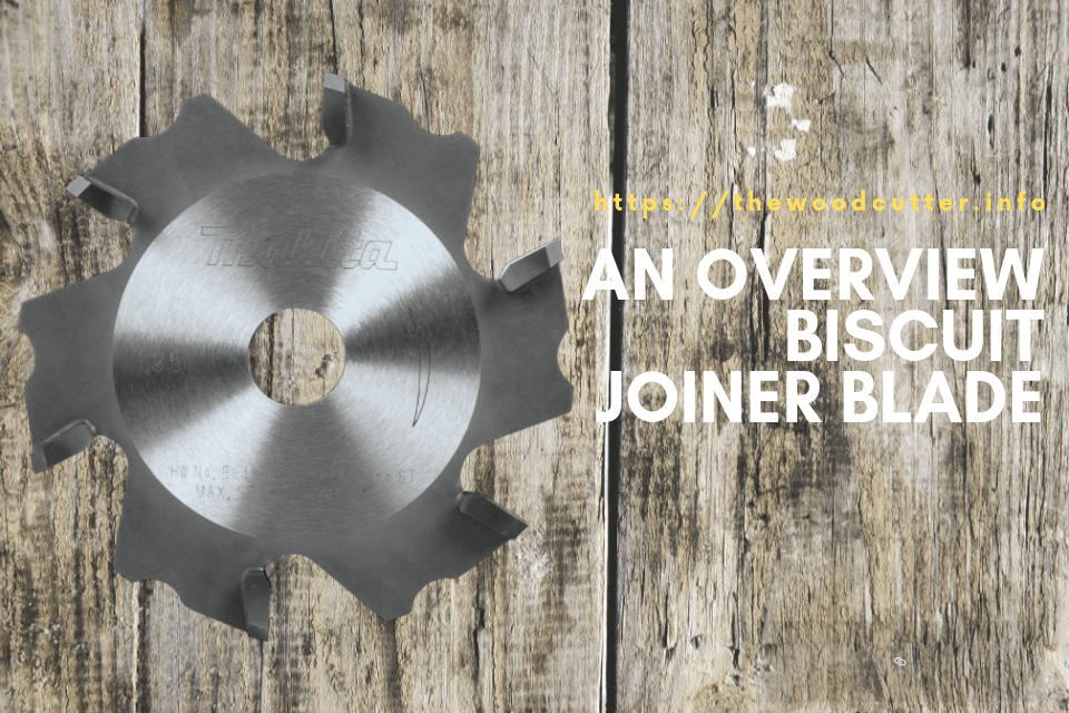 GardenToolsBlog's tweet card. The key to successful carpentry is a good set of tools. Biscuit joiner blades come in handy when you want to make perfect cuts. A right blade determines how