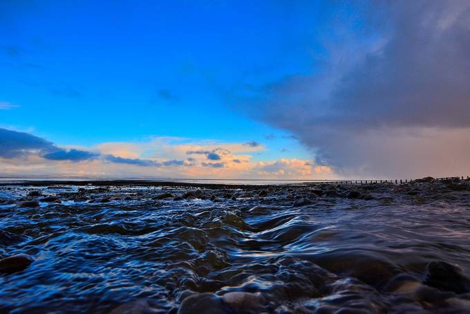 ArnieSwartzPoop's tweet card. Find more inspiring images at VIEWBUG - the world’s most rewarding photo community.