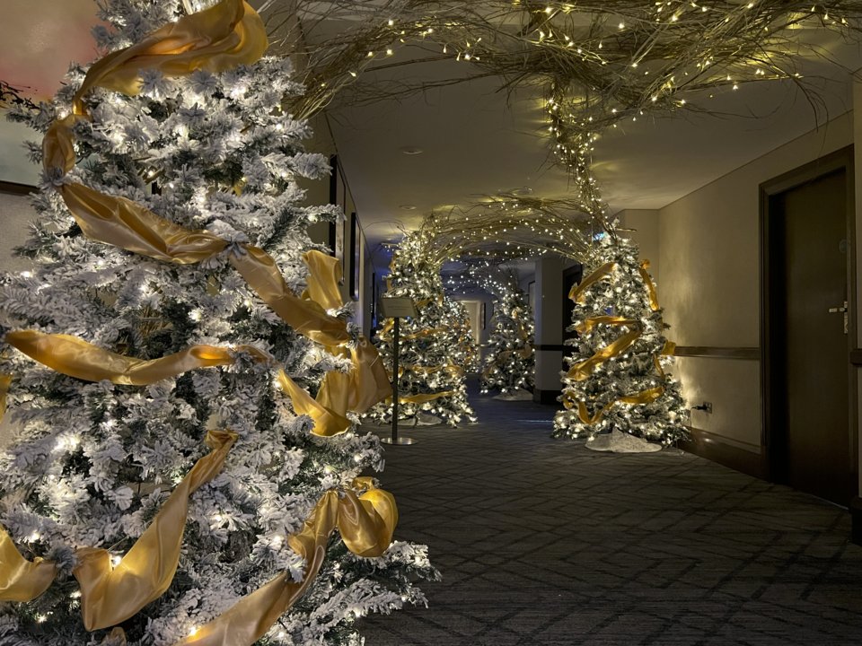 dunnvirtually's tweet card. On the last day of November, I think we can safely start counting down to Christmas! In the Dunn Virtually household, it is full of excitement with a 5-year-old who now fully understands the excite...