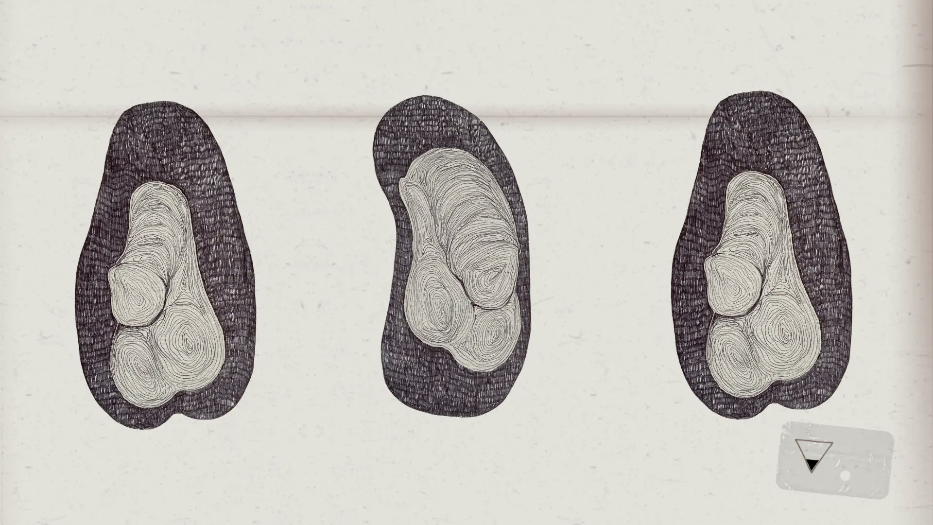 _daniurdaneta's tweet card. Descubre de manera divertida y con mucho humor lo que los penes tienen para enseñarnos. Un vistazo único a su impacto en la vida masculina.