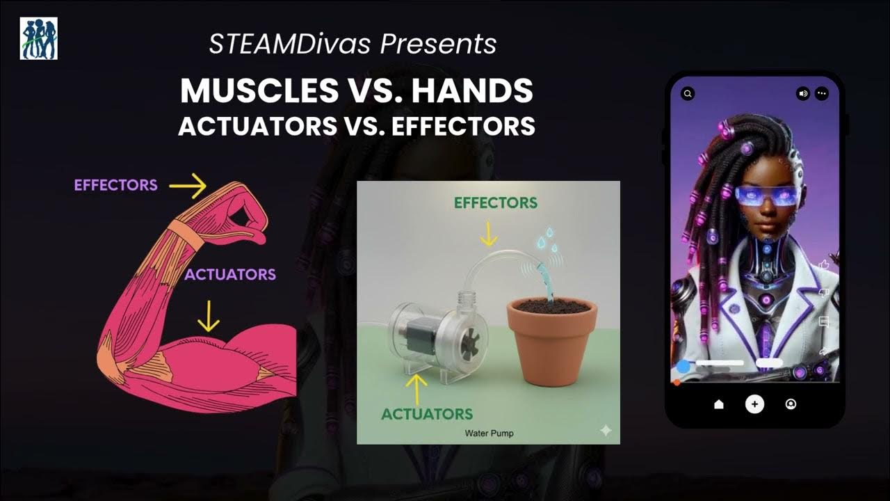 SteamDivas's tweet card. 🌱 RobotDiva Build Month: The Traveling Plant Box | Actuation in...