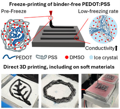 Biointerface_CU's tweet card. We present a 3D freeze-printing strategy for PEDOT:PSS with DMSO, achieving over 350% conductivity enhancement through freezing-induced polymer reorganization. This mild process avoids harsh and...