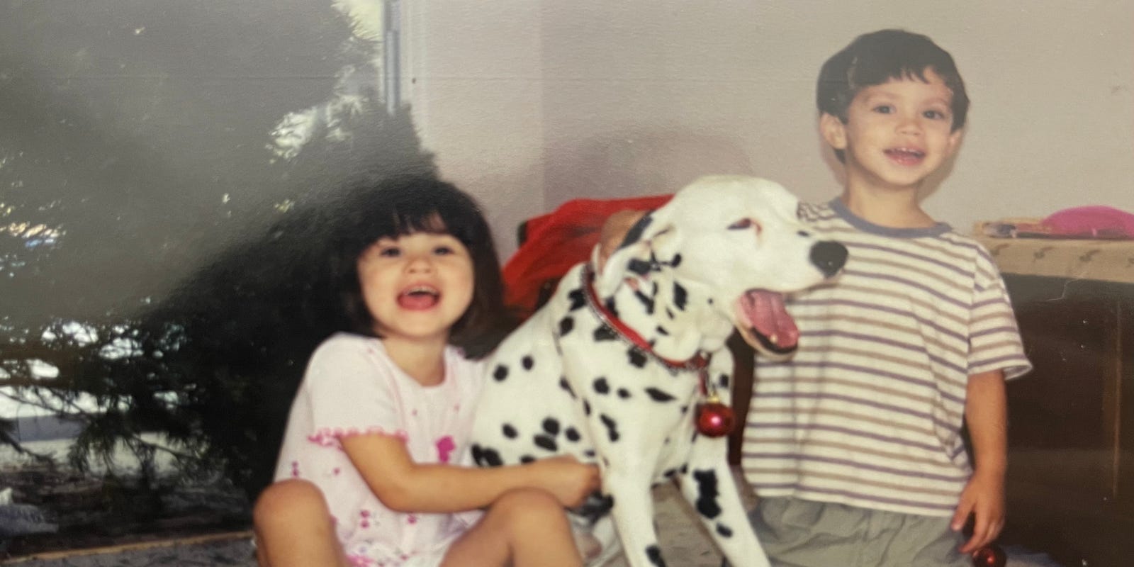 GSSWDenver's tweet card. Do you want a dog? On National Dog Day 2024, we're looking at top breeds and common personality traits so that you can find the perfect furry friend!