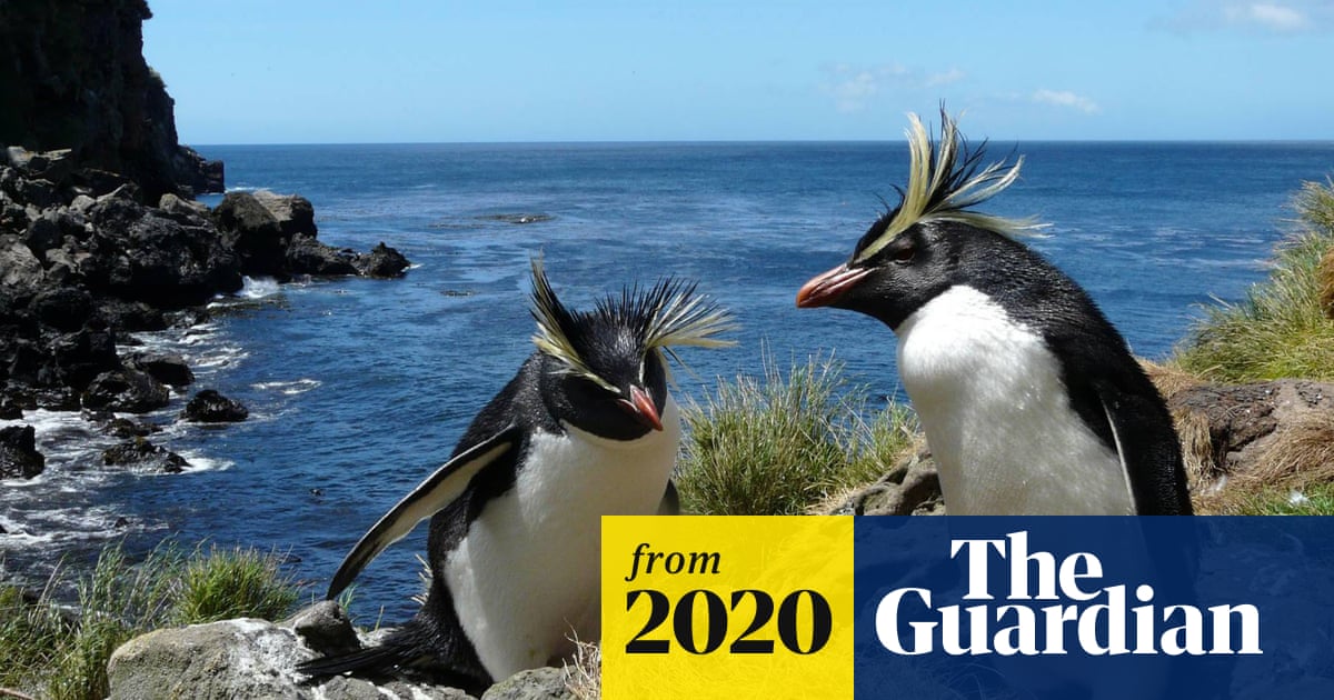 csharp04's tweet card. UK overseas territory Tristan da Cunha’s new marine protected area will be fourth largest sanctuary of its kind