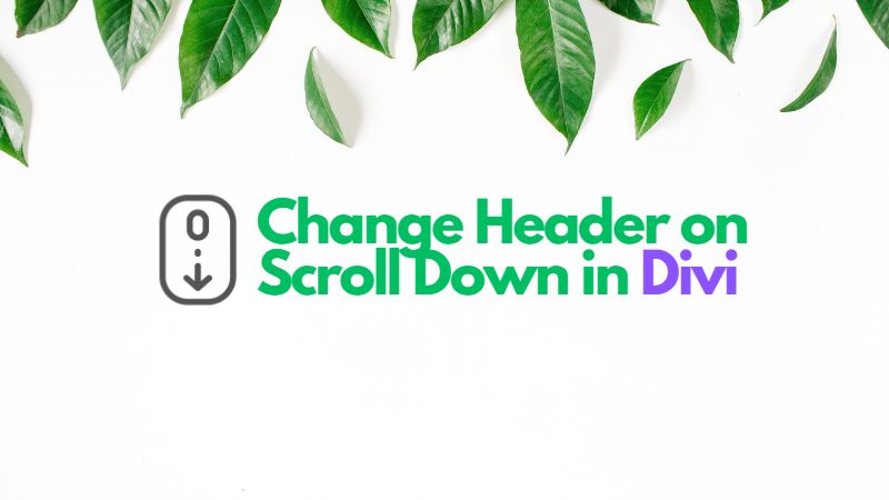 wp_pagebuilders's tweet card. You might try altering the header when users scroll down your website as one of the many ways to enhance user experience. A separate header is very helpful to drive your users to the header’s...