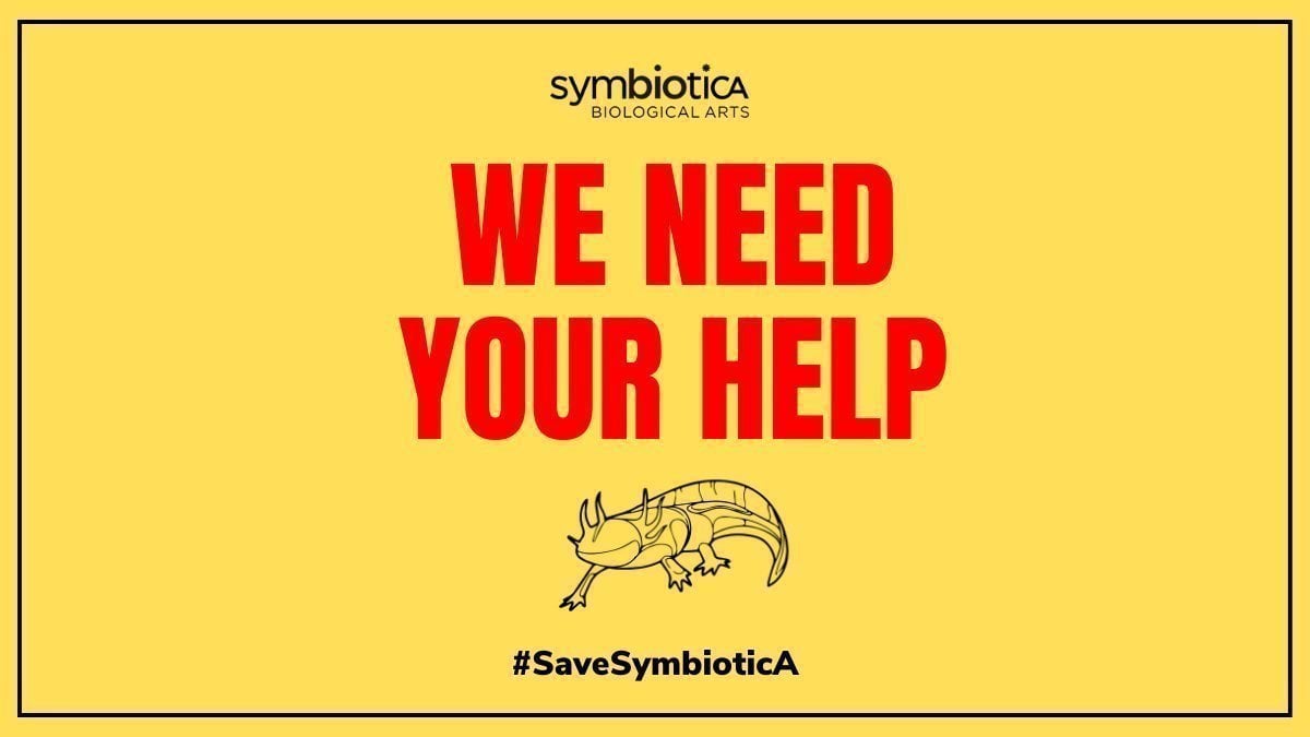SymbioticALab's tweet card. Save SymbioticA