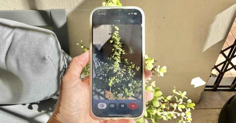 Tweet card summary image