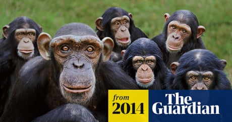 l_hutchence's tweet card. From a murder of crows to a misbelief of painters, Chloe Rhodes investigates the intriguing origins of her favourite collective nouns