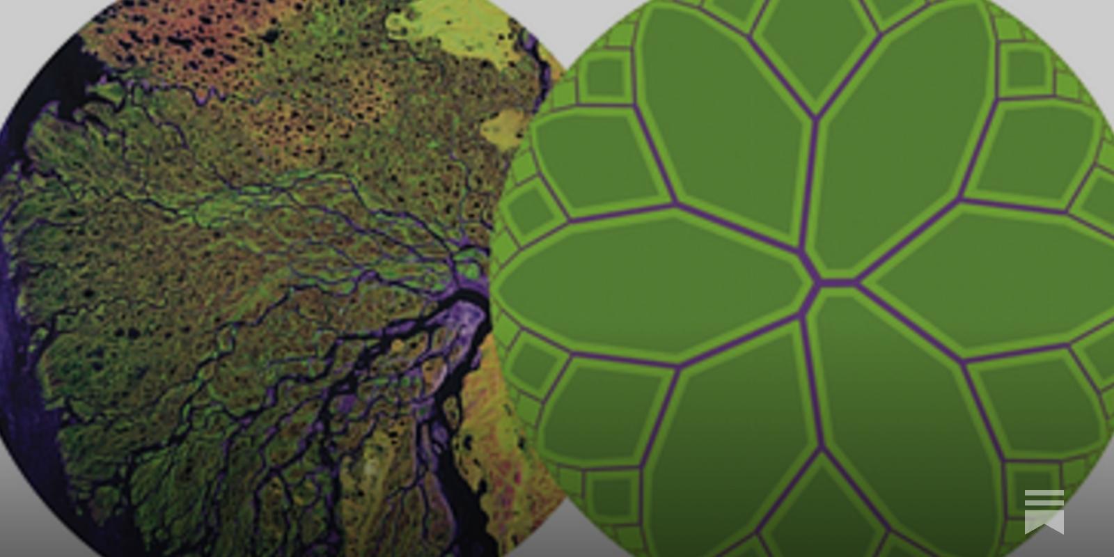 merrera's tweet card. Just as all things change, so too do publishing platforms.