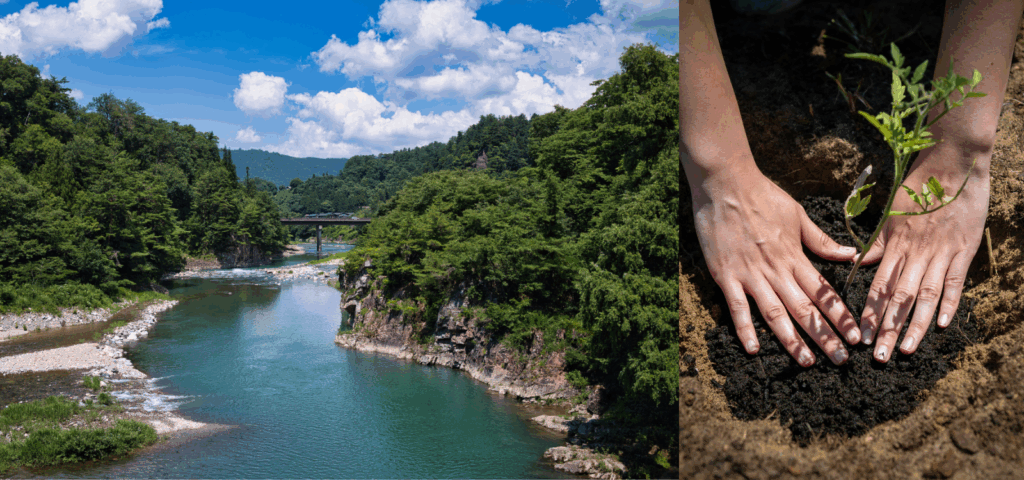 ConquerSci's tweet card. PFAS detection with Ion Chromatography delivers fast, accurate, and eco-friendly analysis for modern environmental labs.