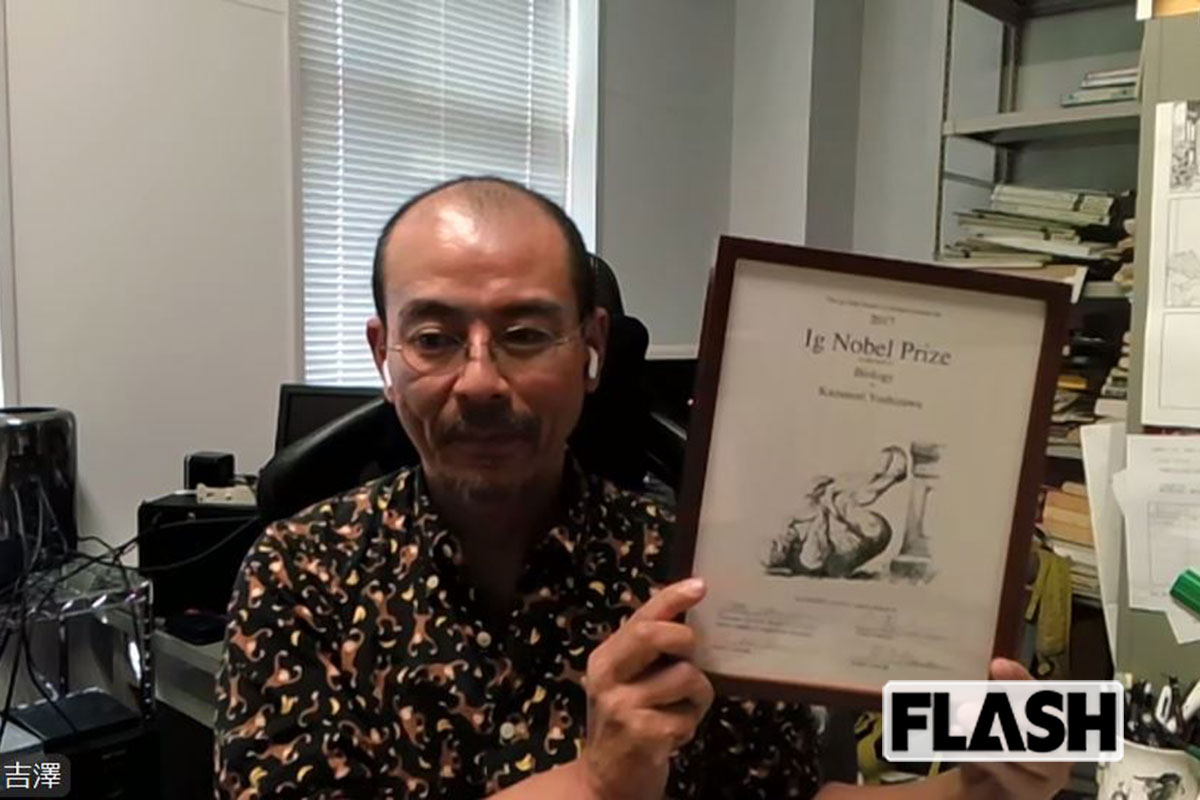 psocodea's tweet card. 【イグ・ノーベル賞その後】オス・メスで「生殖器が逆転」の昆虫を発見した北大・吉澤教授「研究が“下ネタ”ではないと認められた」 - Smart FLASH/スマフラ[光文社週刊誌]